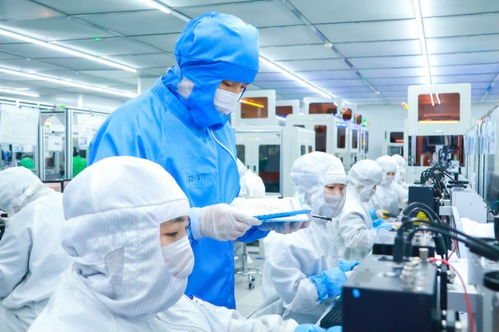 遼寧厚植沃土 醫(yī)學(xué)研究與試驗(yàn)發(fā)展如何讓科技小苗開(kāi)出振興之花