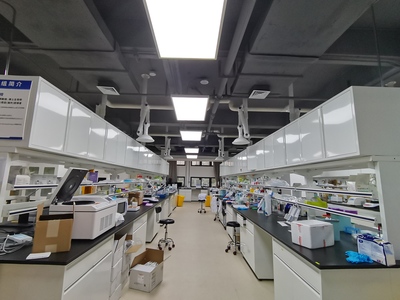 我校“重大腦疾病與衰老”重點實驗室入選教育部重點實驗室培育建設項目，助力醫學研究與試驗發展新突破