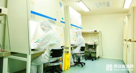 秦漢新城大健康產(chǎn)業(yè)加速布局 大型GMP生物實(shí)驗(yàn)室即將投用，助推醫(yī)學(xué)研發(fā)新突破