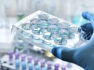 新冠肺炎對(duì)生命科學(xué)行業(yè)的沖擊與重塑 醫(yī)學(xué)研究與試驗(yàn)發(fā)展迎來新契機(jī)