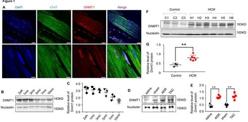 醫(yī)學(xué)研究與試驗(yàn)發(fā)展 科技創(chuàng)新驅(qū)動(dòng)健康未來