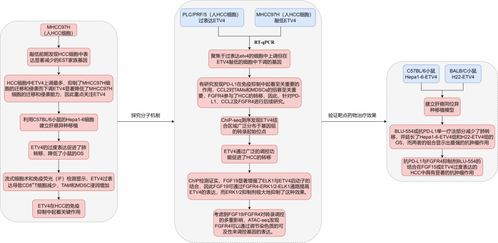 多組學(xué)在疾病發(fā)生發(fā)展過程中的研究思路與應(yīng)用前沿