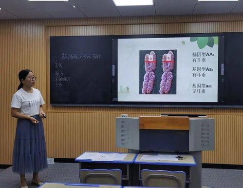 初心如磐展風采，信息化賦能新篇章——我校初中生物組信息化教學能力提升工程2.0片段教學及板書設計展示紀實
