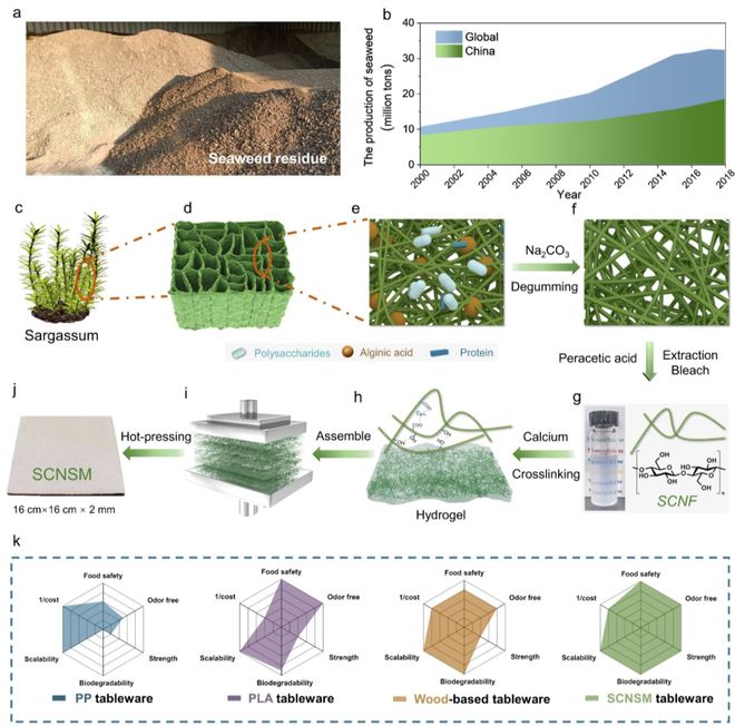 中科大俞書宏院士團隊AM:可食用、超強、熱穩定好的海藻基結構材料,可生物降解餐具新選擇!