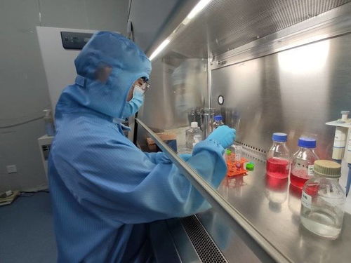 別人 放假 我上崗 細(xì)胞 管家 是我的工作,那就得干好它